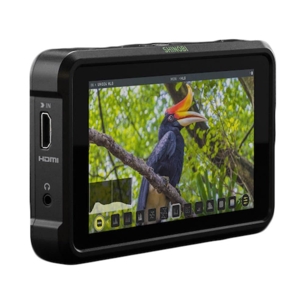 Shinobi Atomos 6"